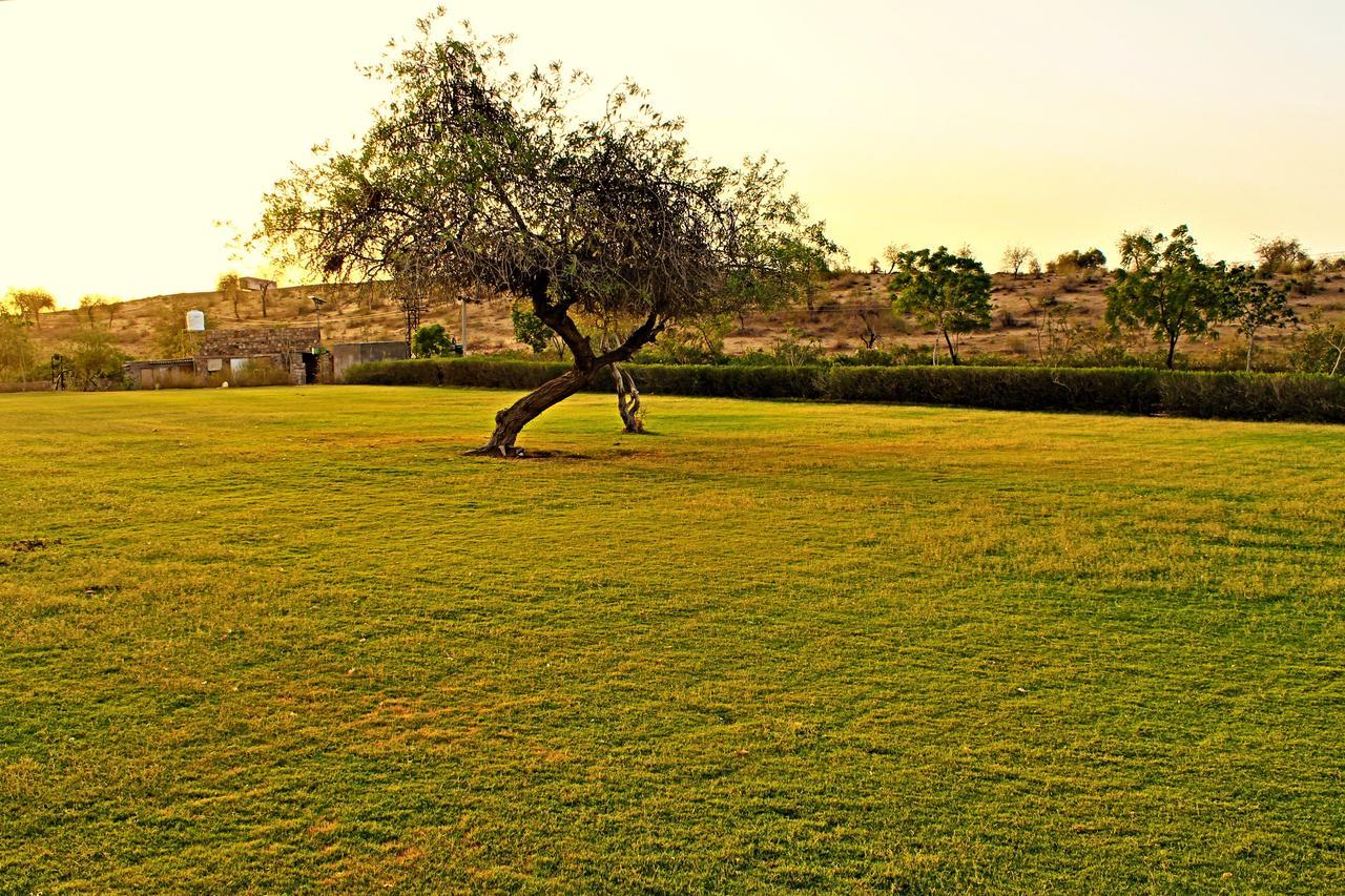 Sanchal Fort Barmer المظهر الخارجي الصورة